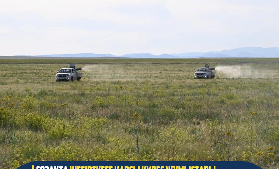 СОЗАҚТА ШЕГІРТКЕГЕ ҚАРСЫ КҮРЕС ЖҰМЫСТАРЫ ҚАРҚЫНДЫ ЖҮРІП ЖАТЫР