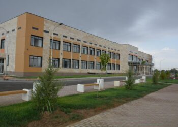 ШАРДАРА ЖӘНЕ КЕЛЕС: ӘЛЕУМЕТТІК ҚҰРЫЛЫС САЛАСЫНДА ЖАҢА БЕЛЕС