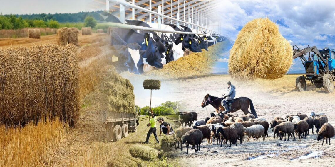 Облыста ауыл шаруашылығы зиянкестерімен күрес және жем-шөп дайындау шаралары жүргізілуде