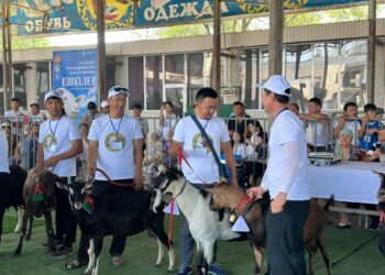 ТҮРКІСТАНДА АСЫЛ ТҰҚЫМДЫ ЕШКІЛЕРДІҢ  КӨРМЕСІ ӨТТІ