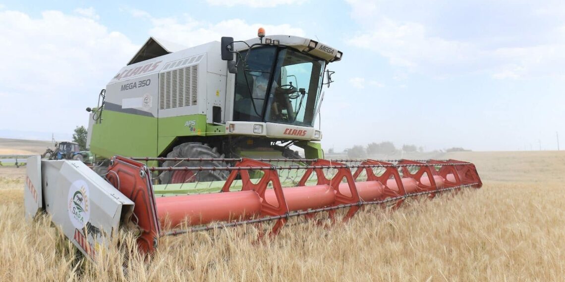 Түркістан облысында ауыл шаруашылығы саласының басты мәселелері қаралды