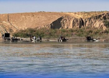 ТҮРКІСТАН ОБЛЫСЫНДА СУ СОРАТЫН 24 ЗАҢСЫЗ СОРҒЫ ҚОНДЫРҒЫСЫ АНЫҚТАЛДЫ