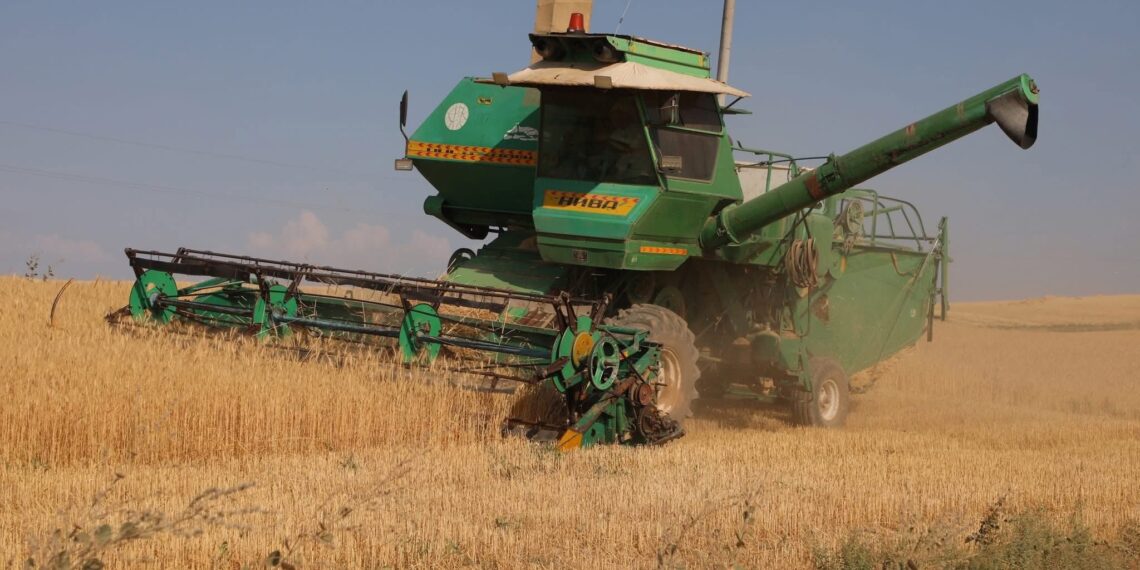 ТҮРКІСТАН ОБЛЫСЫНДА ЕГІН ОРУ НАУҚАНЫ БАСТАЛДЫ