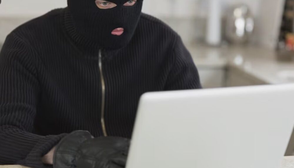 Қаржылық пирамидалар: анықталған жаңа тәсілдер мен шынайы кейстер