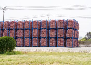 ҚЫТАЙ САПАРЫНДА ТҮРКІСТАНДА САРЫМСАҚ ӨҢДЕУ ІСІН БАСТАУ МӘСЕЛЕСІ КӨТЕРІЛДІ