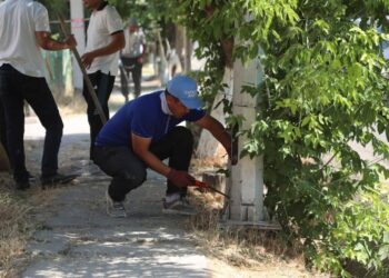 САРЫАҒАШ АУДАНЫНДА ТҰРҒЫНДАР СЕНБІЛІК ЖҰМЫСТАРЫНДА  БЕЛСЕНДІЛІК КӨРСЕТТІ