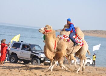 Шардараның рухани байлықтары – ұрпаққа үлгі, ұлтқа мұра