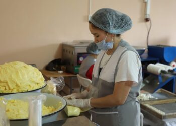 САРЫАҒАШТА ТӘУЛІГІНЕ 10 ТОННА СҮТ ӨНІМІН ӨНДІРЕТІН КӘСІПОРЫН БАР