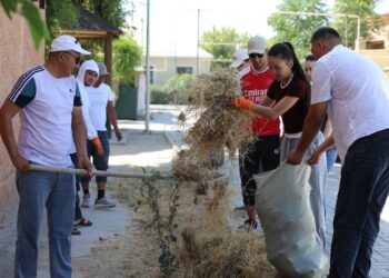 ТҮРКІСТАНДА  СЕНБІЛІККЕ 800-ДЕН АСТАМ АДАМ ҚАТЫСТЫ