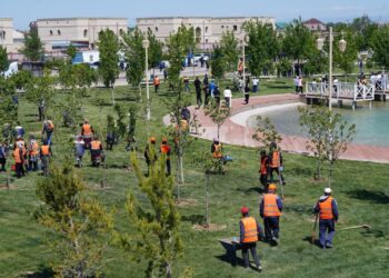 «ТАЗА ҚАЗАҚСТАН»: ТҮРКІСТАН ОБЛЫСЫНДА ЖЫЛ БАСЫНАН БЕРІ 2600-ДЕН АСТАМ ТАЗАЛЫҚ ЖҰМЫСЫ ЖҮРГІЗІЛДІ