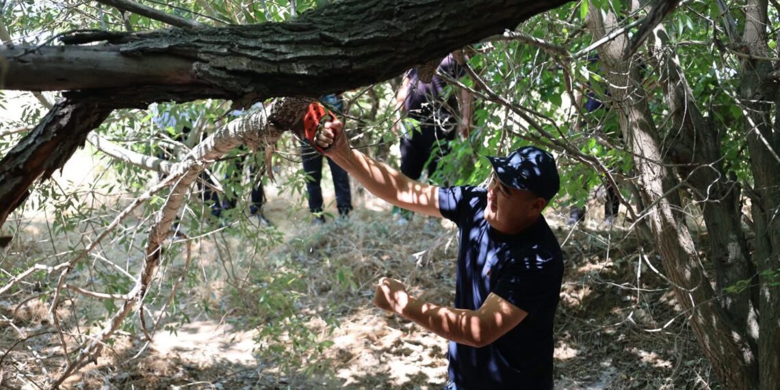«ҮКАША АТА» КЕСЕНЕСІНІҢ АУМАҒЫ АБАТТАНДЫРЫЛДЫ