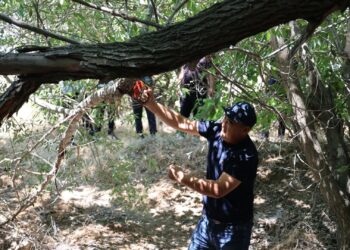«ҮКАША АТА» КЕСЕНЕСІНІҢ АУМАҒЫ  АБАТТАНДЫРЫЛДЫ