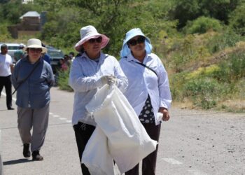 ТҮЛКІБАСТА КЕЗЕКТІ РЕТ ЖАЛПЫАУДАНДЫҚ ТАЗАЛЫҚ АКЦИЯСЫ ӨТТІ