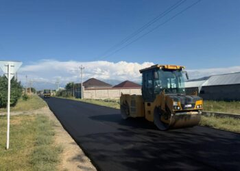 ТҮЛКІБАСТА «АУЫЛ – ЕЛ БЕСІГІ» АЯСЫНДА 18 КӨШЕ ЖӨНДЕЛЕДІ