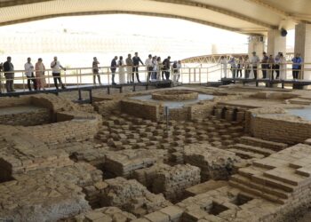 ТҮРКІ ӘЛЕМІНІҢ ҒАЛЫМДАРЫ ТҮРКІСТАННЫҢ КИЕЛІ ЖЕРЛЕРІМЕН ТАНЫСТЫ