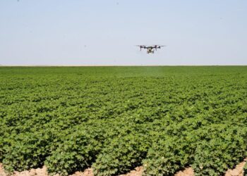 ОТЫРАР ЖӘНЕ АРЫС КӘСІПКЕРЛЕРІНІҢ МӘСЕЛЕЛЕРІ ТЫҢДАЛДЫ