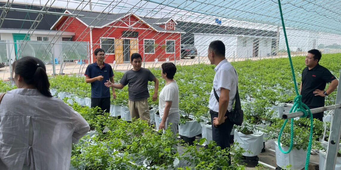 ТҮРКІСТАННЫҢ ЖҰМЫСШЫ МАМАНДАР ДАЯРЛАЙТЫН КОЛЛЕДЖ ӨКІЛДЕРІ ҚЫТАЙДА ТӘЖІРИБЕ АЛМАСТЫ