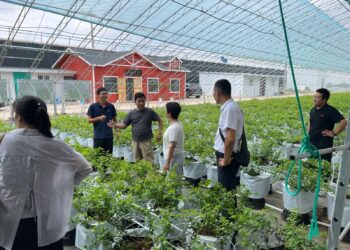 ТҮРКІСТАННЫҢ ЖҰМЫСШЫ МАМАНДАР ДАЯРЛАЙТЫН КОЛЛЕДЖ ӨКІЛДЕРІ ҚЫТАЙДА ТӘЖІРИБЕ АЛМАСТЫ