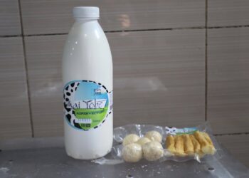 ТҮЛКІБАСТА СҮТТІ ТЕРЕҢ ӨҢДЕУ САЛАСЫ ҚАРҚЫН АЛЫП КЕЛЕДІ