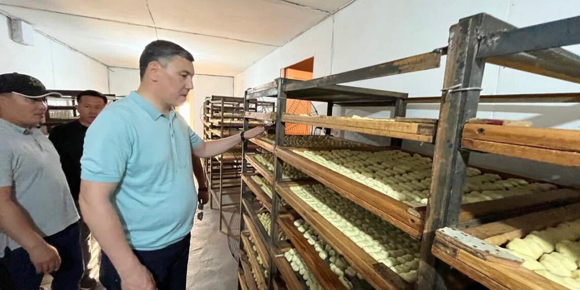 ТҮЛКІБАСТЫҚ КӘСІПКЕР 15 АУЫЛ ТҰРҒЫНЫН ЖҰМЫСПЕН ҚАМТЫП ОТЫР