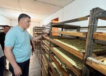 ТҮЛКІБАСТЫҚ КӘСІПКЕР 15 АУЫЛ ТҰРҒЫНЫН ЖҰМЫСПЕН ҚАМТЫП ОТЫР