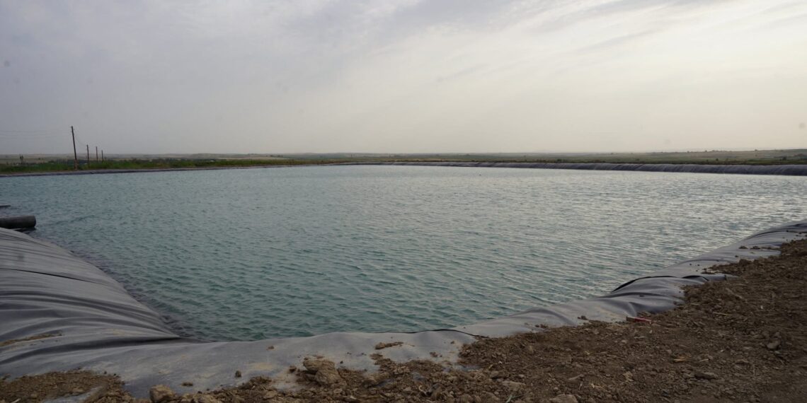 ҚАЗЫҒҰРТТЫҚ ШАРУА 170 ГЕКТАРДАН АСТАМ ЖҮГЕРІ АЛҚАБЫН СУ ҮНЕМДЕУ ТЕХНОЛОГИЯСЫМЕН СУАРУДА