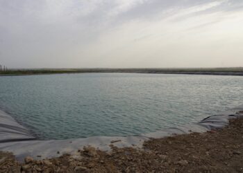 ҚАЗЫҒҰРТТЫҚ ШАРУА 170 ГЕКТАРДАН АСТАМ ЖҮГЕРІ АЛҚАБЫН СУ ҮНЕМДЕУ ТЕХНОЛОГИЯСЫМЕН СУАРУДА