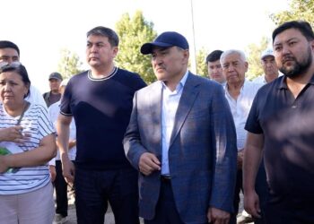 ТҮРКІСТАН ОБЛЫСЫНЫҢ ЖЕТІСАЙ ЖӘНЕ МАҚТААРАЛ АУДАНДАРЫНДА 74 587 ГА ЕГІС АЛҚАБЫ СУАРЫЛДЫ