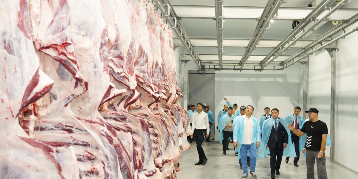 ЗАМАНАУИ МАЛ БОРДАҚЫЛАУ КЕШЕНІ ЖӘНЕ ЕТ КОМБИНАТЫ ІСКЕ ҚОСЫЛДЫ