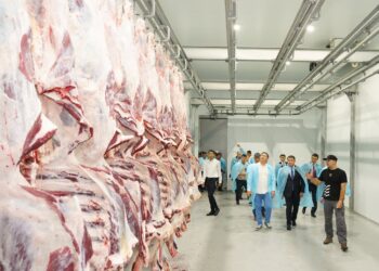 ЗАМАНАУИ МАЛ БОРДАҚЫЛАУ КЕШЕНІ ЖӘНЕ ЕТ КОМБИНАТЫ ІСКЕ ҚОСЫЛДЫ