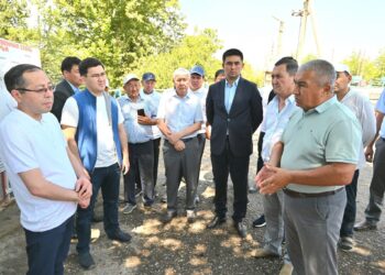 ВИЦЕ-МИНИСТР МЫРЗАШӨЛДІК ШАРУАЛАРМЕН ЖҮЗДЕСТІ