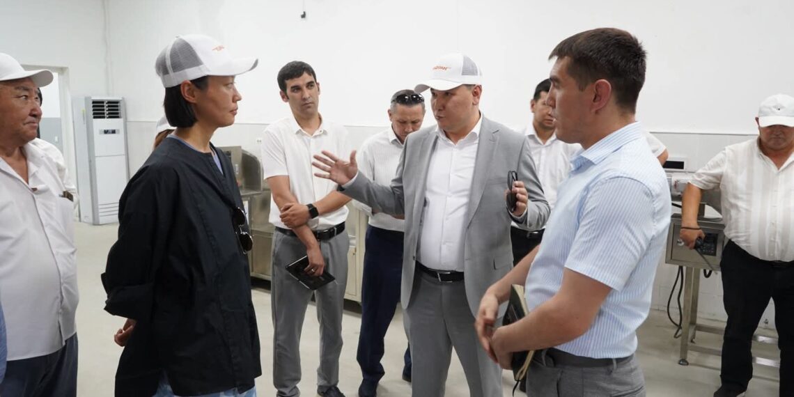 ҚР ПРЕЗИДЕНТІНІҢ КЕҢЕСШІСІ ТҮРКІСТАНДАҒЫ ЖҰМЫСТАРДЫ ОҢ БАҒАЛАДЫ