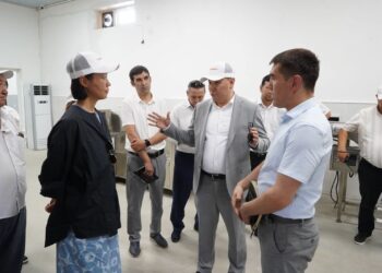 ҚР ПРЕЗИДЕНТІНІҢ КЕҢЕСШІСІ ТҮРКІСТАНДАҒЫ ЖҰМЫСТАРДЫ ОҢ БАҒАЛАДЫ