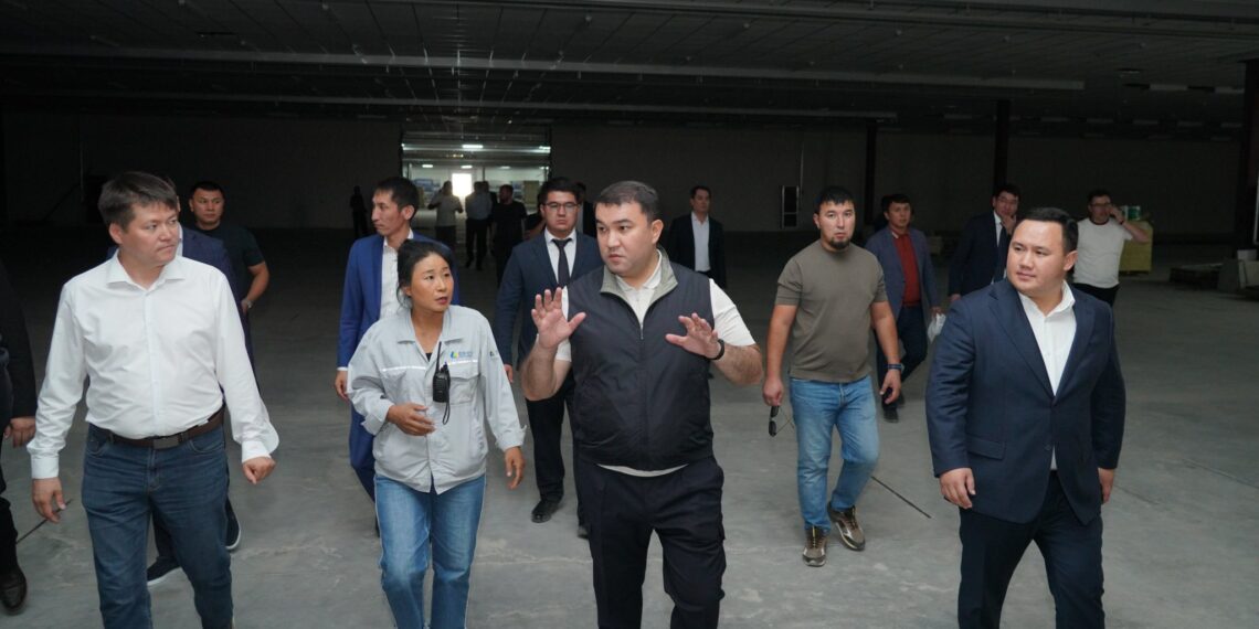 ТҮРКІСТАН ОБЛЫСЫНДА ТОҚЫМА ӨНДІРІСІНІҢ АЛЫП ЖОБАСЫ ІСКЕ АСУДА