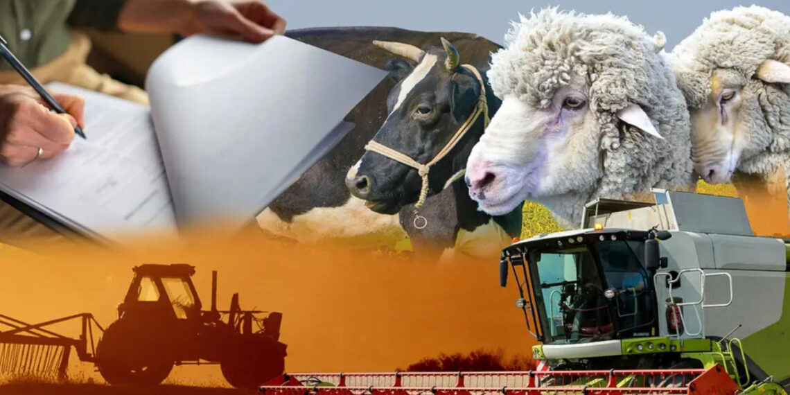 Ауыл шаруашылығы кәсіпорындары үшін онлайн-санақ кезеңі 20 қыркүйекке дейін ұзартылды