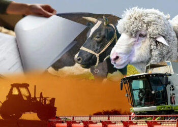 Ауыл шаруашылығы кәсіпорындары үшін онлайн-санақ кезеңі 20 қыркүйекке дейін ұзартылды