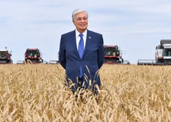 Реформалардың мәні – 4: Қуатты өңірлер – қуатты ұлт