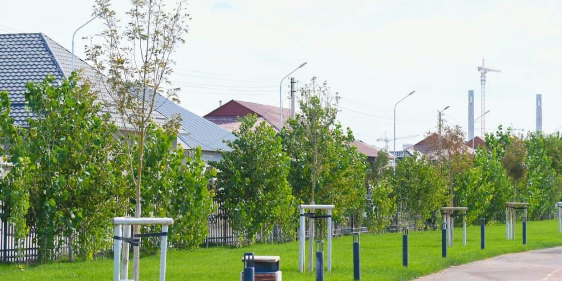 ТҮРКІСТАН ОБЛЫСЫНДА КҮЗГІ КӨШЕТ ОТЫРҒЫЗУ ЖҰМЫСТАРЫ ҚАРҚЫНДЫ ЖҮРІП ЖАТЫР