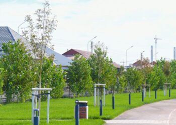 ТҮРКІСТАН ОБЛЫСЫНДА КҮЗГІ КӨШЕТ ОТЫРҒЫЗУ ЖҰМЫСТАРЫ ҚАРҚЫНДЫ ЖҮРІП ЖАТЫР