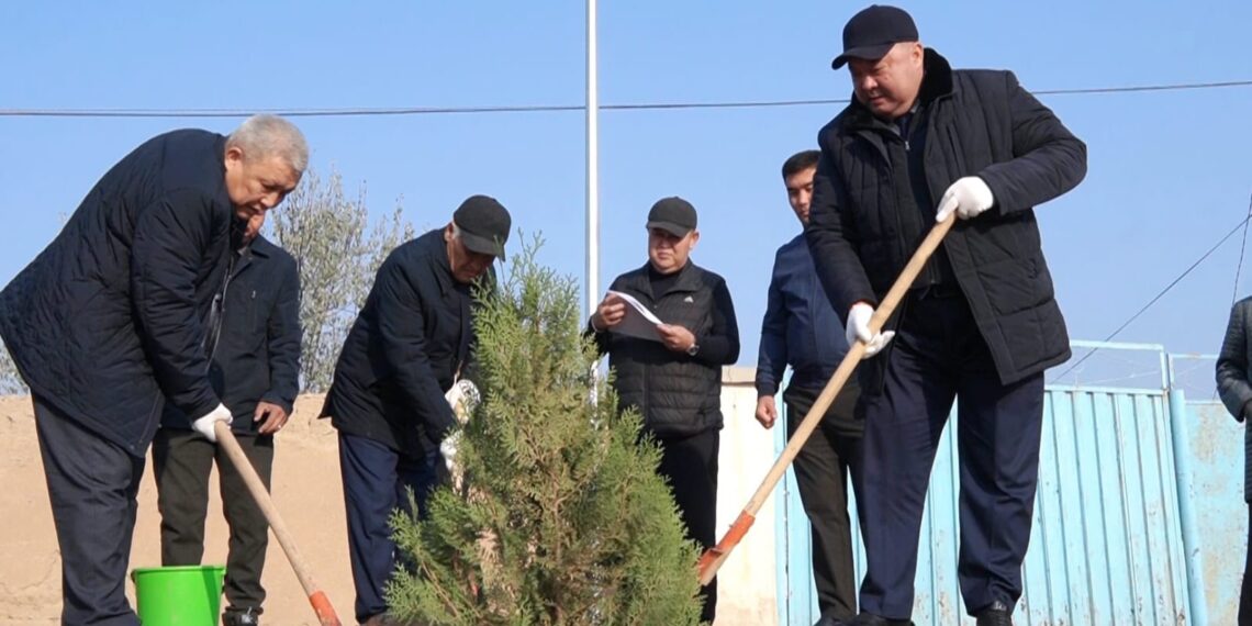 КЕЛЕС АУДАНЫНДА «ТЕГІН КӨШЕТ АЛЫП, ӨЗ АҒАШЫҢДЫ ОТЫРҒЫЗ» АТТЫ КҮЗГІ АҒАШ ЕГУ АКЦИЯСЫ ӨТТІ