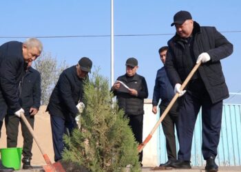 КЕЛЕС АУДАНЫНДА «ТЕГІН КӨШЕТ АЛЫП, ӨЗ АҒАШЫҢДЫ ОТЫРҒЫЗ» АТТЫ КҮЗГІ АҒАШ ЕГУ АКЦИЯСЫ ӨТТІ