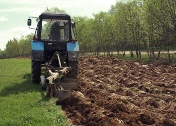 219,7 МЫҢ ГЕКТАР ЖАЙЫЛЫМ ЖЕР МЕМЛЕКЕТ МЕНШІГІНЕ ҚАЙТАРЫЛДЫ