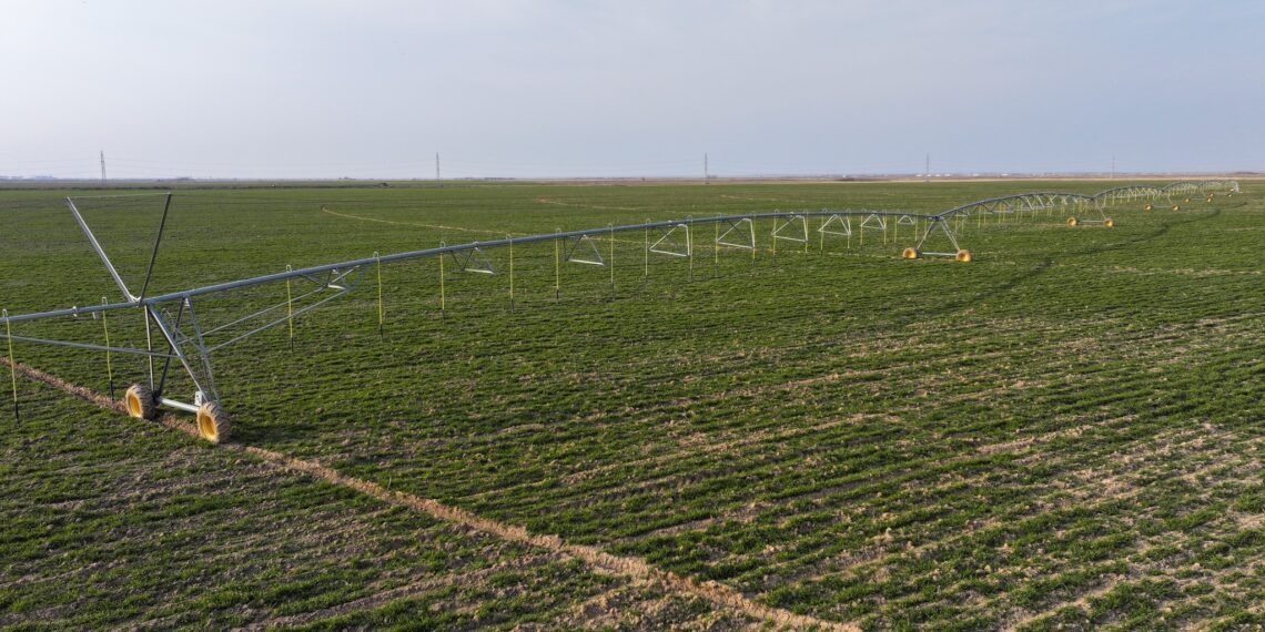 Түркістан облысында 114 мың гектар жерге су үнемдеу технологиялары енгізілді