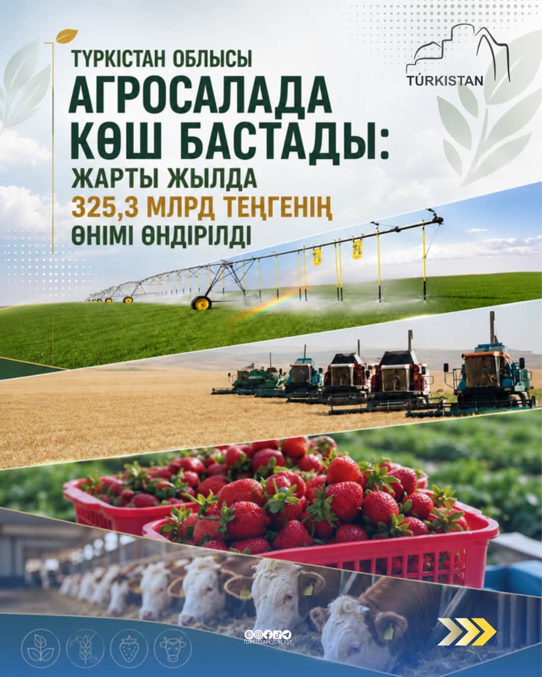 Туркестанская область – лидер аграрного сектора Казахстана: за первое полугодие произведено сельскохозяйственной продукции на 325,3 млрд тенге