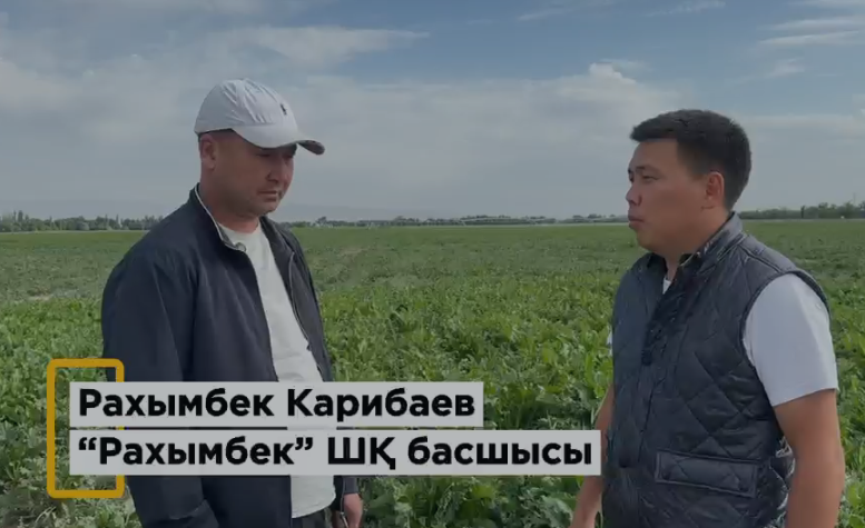 Мемлекет басшысының су ресурстарын тиімді пайдалану және су үнемдеу технологияларын кеңінен енгізу жөніндегі тапсырмасы Түркістан облысында нақты істермен жүзеге асуда.