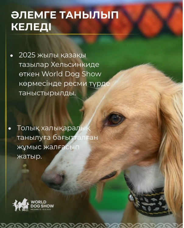 3 қыркүйек – қазақы тазы мен төбет күні